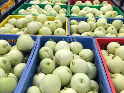 蔬菜種子種植戶客戶點評-5元1斤，這個新品種真香甜！