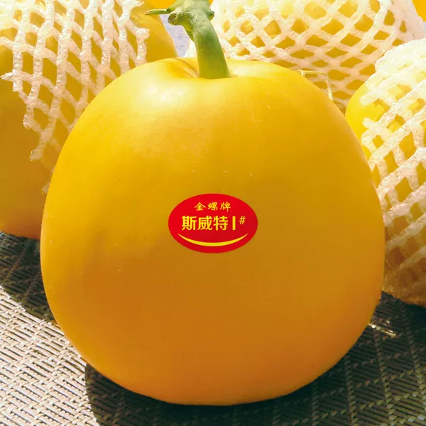 薄皮甜瓜，哪個品種最好呢？畝產(chǎn)高達(dá)10萬，附4種市場爆款品種