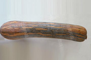 知道最甜最面的南瓜品種嗎？盤(pán)點(diǎn)十種有營(yíng)養(yǎng)的甜面南瓜...