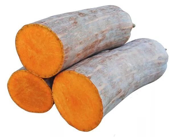 生吃都好吃南瓜新品種，沒有大肚子，肉質(zhì)更密致，農(nóng)戶試種下