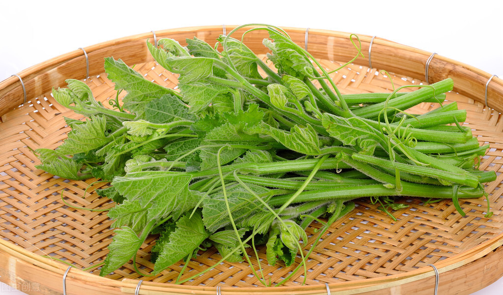 種這種綠葉菜，栽培輕松，畝產(chǎn)值過萬元，菜農(nóng)表示很劃算