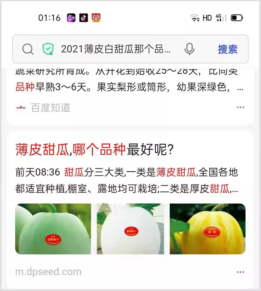 河南焦作的李向林今年種植甜瓜新品種，客戶直接拉貨走人