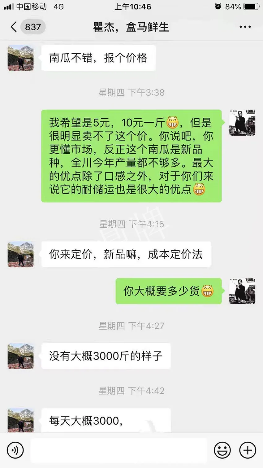 四川農(nóng)戶今年種“健美蜜本”南瓜產(chǎn)量高，品質好，感覺巴適得很