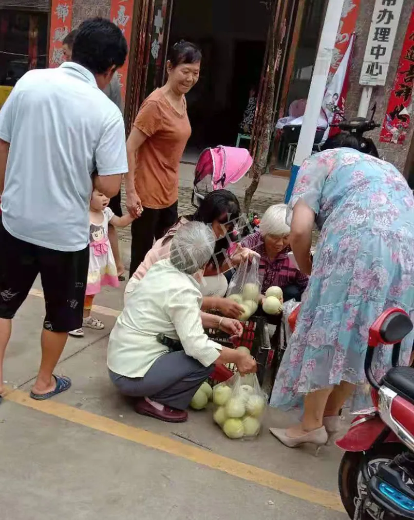其他品種的甜瓜2塊1斤都賣不動，我的玉奶香2號甜瓜2塊5直接搶