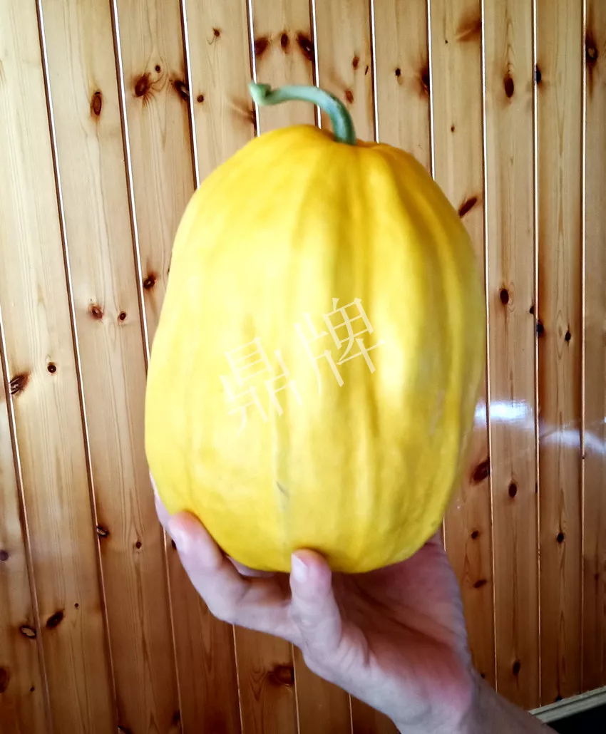 婁底瓜農(nóng)純賺50萬(wàn)，我這個(gè)“張大膽”榮光了一把