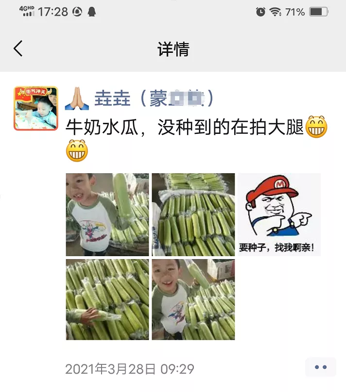 這個絲瓜每畝能掙3萬，沒種植的農戶后悔得拍大腿