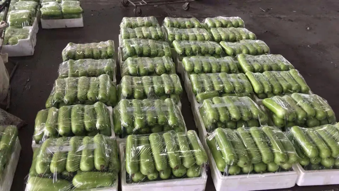 這個(gè)品種上市早，價(jià)格好！我連續(xù)種了三年，滿意