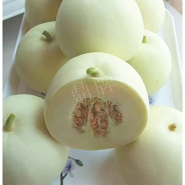 蔬菜種子種植戶種植心得-這個(gè)品種幫我留一些，4月份我們當(dāng)?shù)剡€要種一批