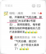 蔬菜種子種植戶客戶點評-“氣死白糖，甜過初戀”，您知道或體驗過這句話嗎